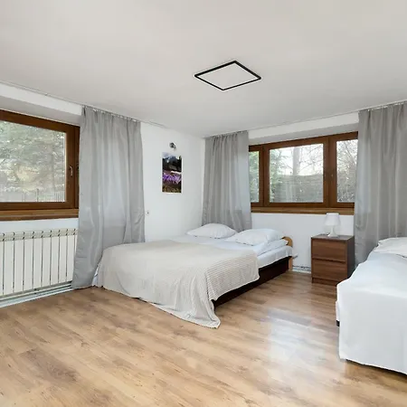 Modrzejewska In The Centre Of By Renters * Zakopane